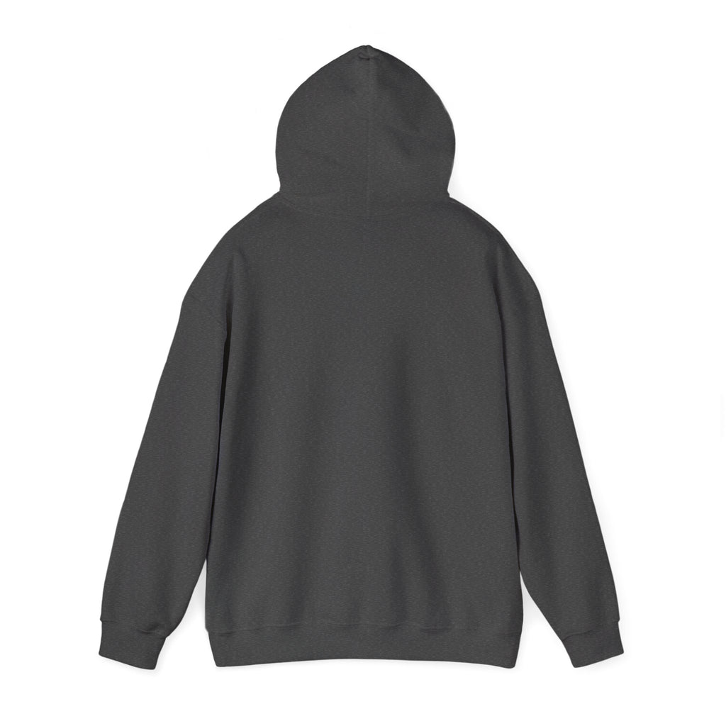 Coffee, Kids, Chaos & Hope Hoodie — Men/Women/, Teacher, Coach, Dad/Parent Retro Doodle Graphic Pullover